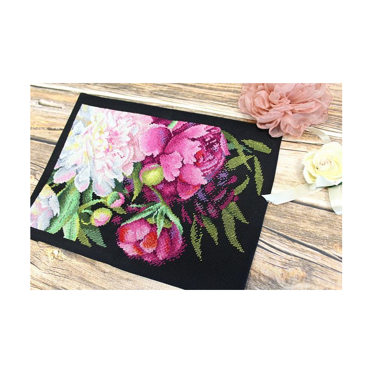 M.P.STUDIA ROYAL PEONIES 