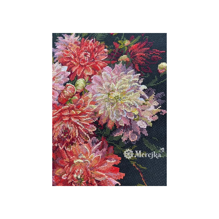 MEREJKA DAHLIAS