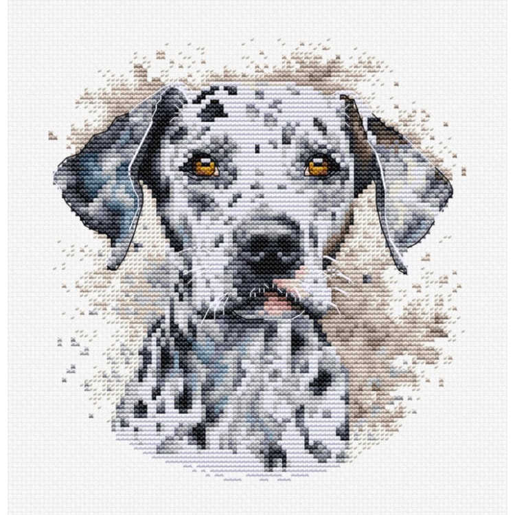 LUCA-S THE DALMATIAN