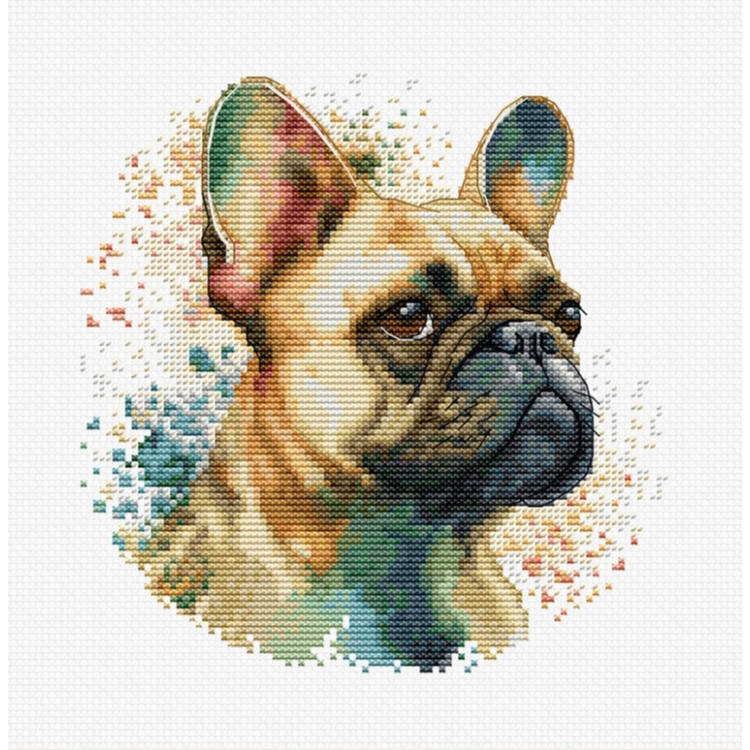 LUCA-S THE FRENCH BULLDOG