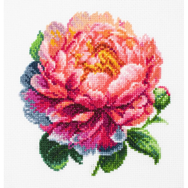 LUCA-S ’’CORAL CHARM’’ PEONY