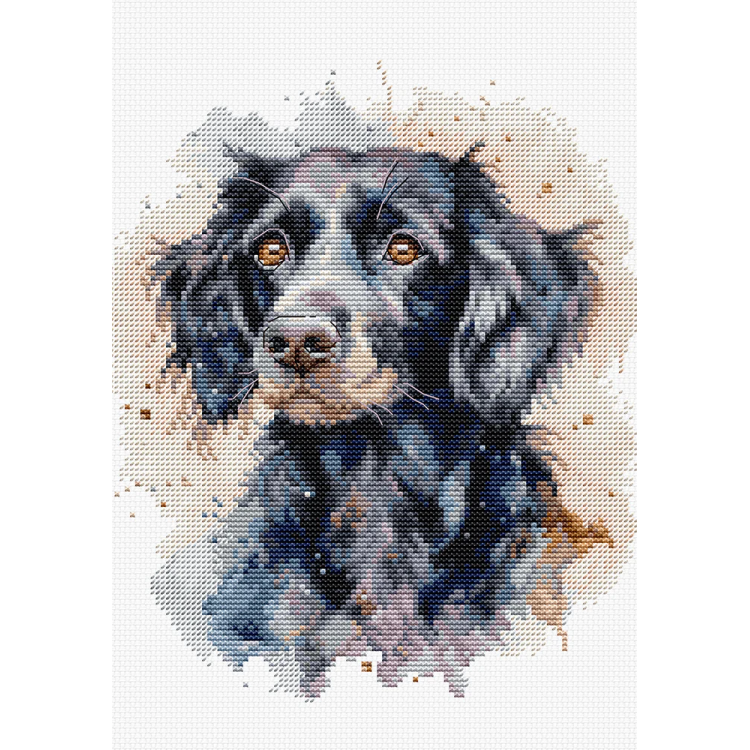 LUCA-S THE BORDER COLLIE