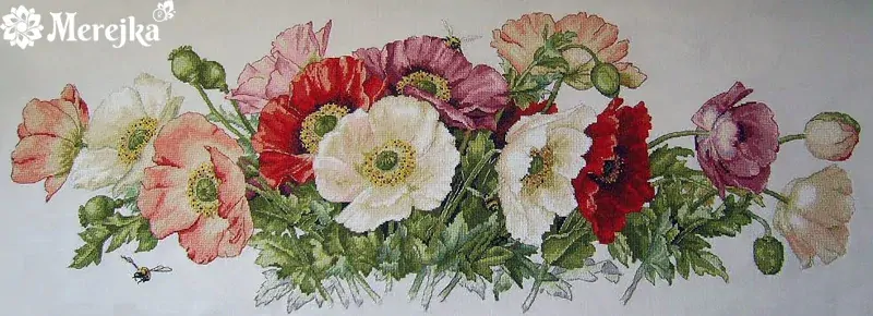 MEREJKA POPPY