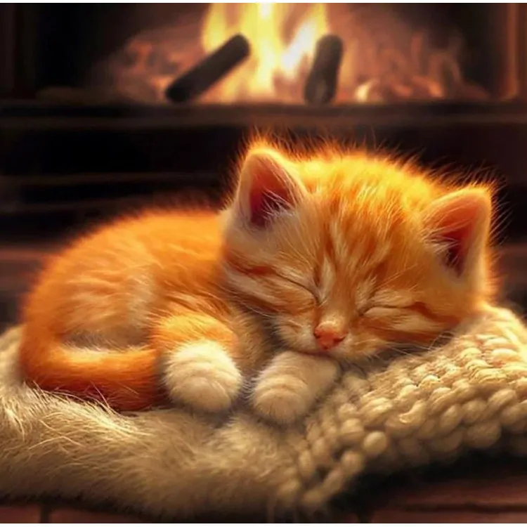 WIZARDI DIAMOND PAINTING KIT SLEEPING CAT