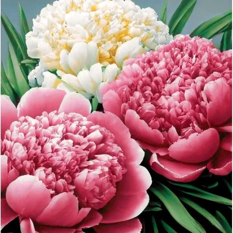 WIZARDI DIAMOND PAINTING KIT PEONY SCENT