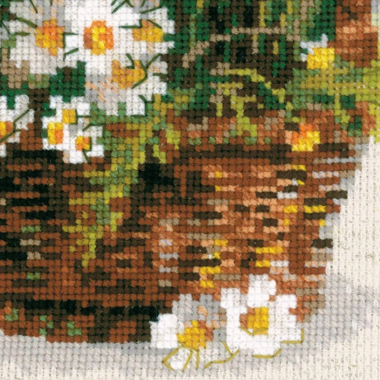 RIOLIS Daisies