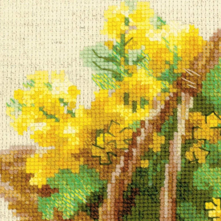 RIOLIS Yellow Rapeseed