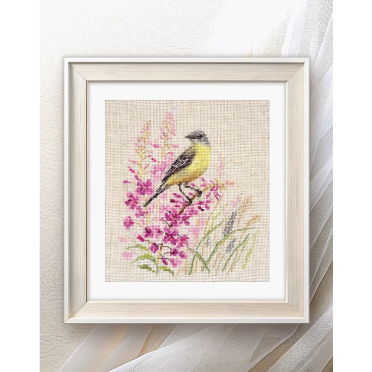 ALISA Wagtail