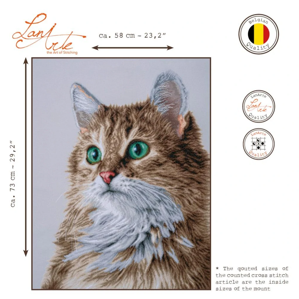 LANARTE The purrfect stare