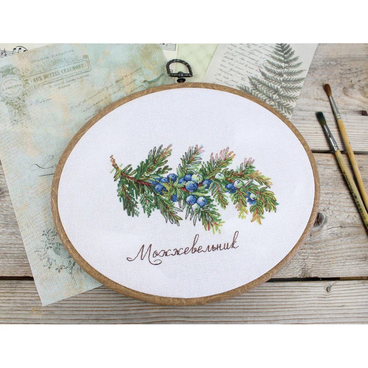 M.P.STUDIA Gifts of nature. Juniper NV-913