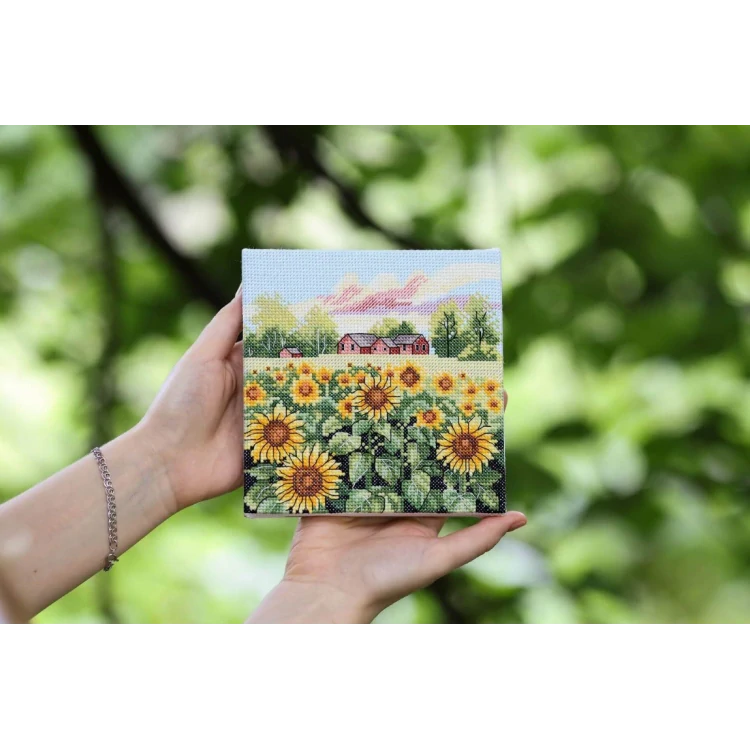 GOLDEN FLEECE Sunflower Field M-030