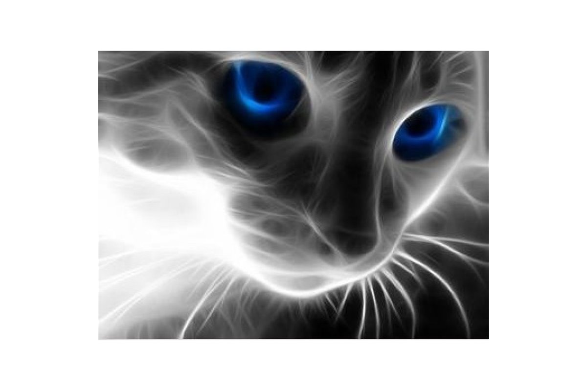 DIAMOND PAINTING KIT CAT'S LOOK