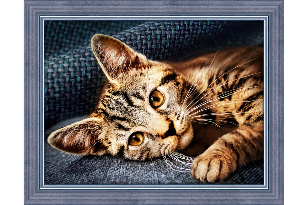 DIAMOND PAINTING KIT CAT BARSIK
