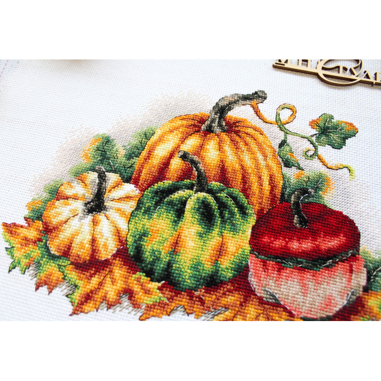 M.P.STUDIA COLORFUL PUMPKINS 
