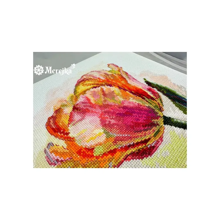 MEREJKA PARROT TULIP