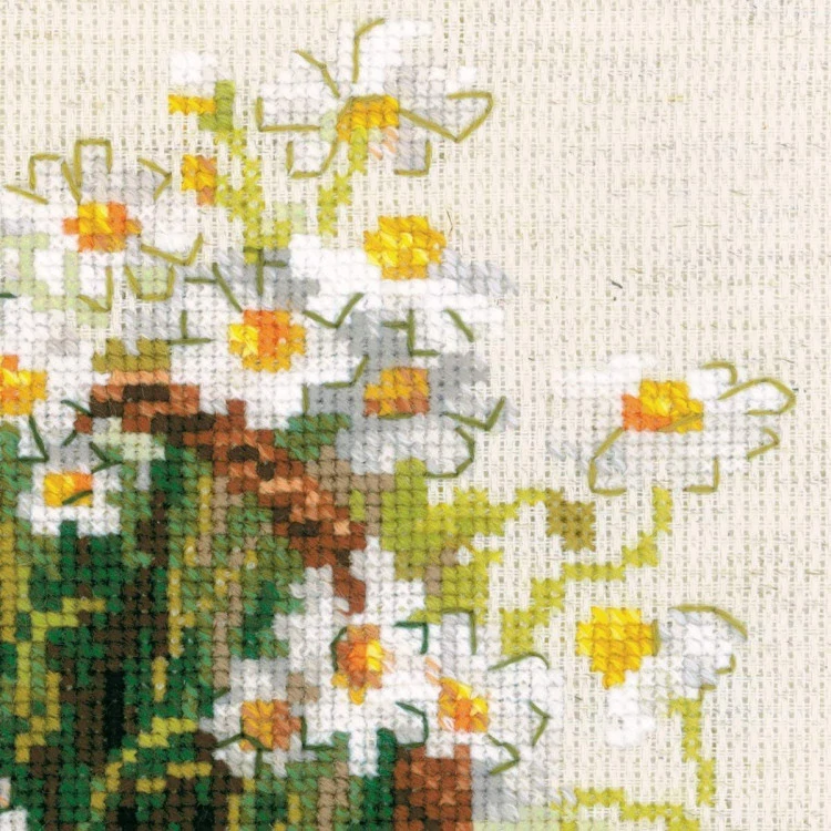 RIOLIS Daisies