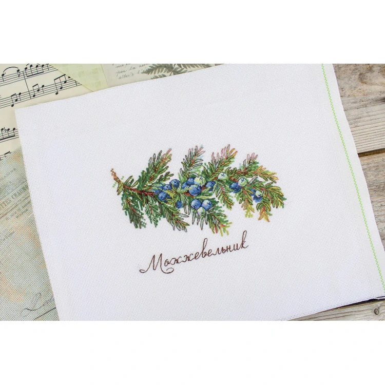 M.P.STUDIA Gifts of nature. Juniper NV-913