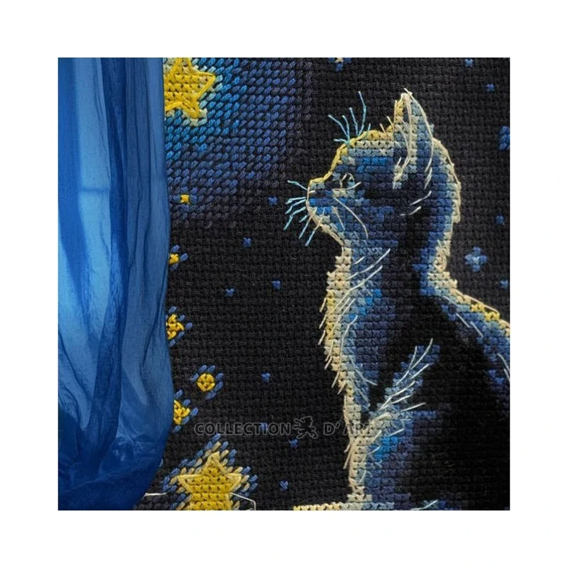 COLLECTION D'ART Kitten and Starry Milk BC8115