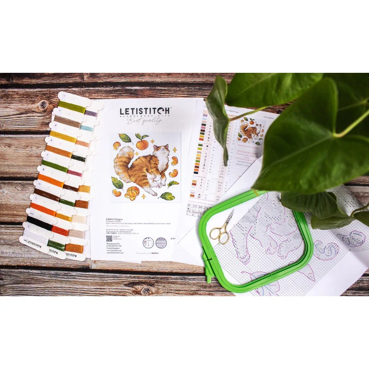 LETISTITCH GINGER