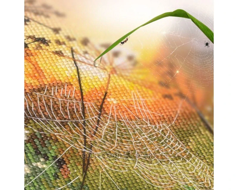 RTO Through the Cobweb 