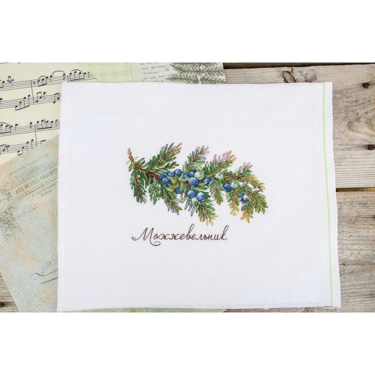 M.P.STUDIA Gifts of nature. Juniper NV-913