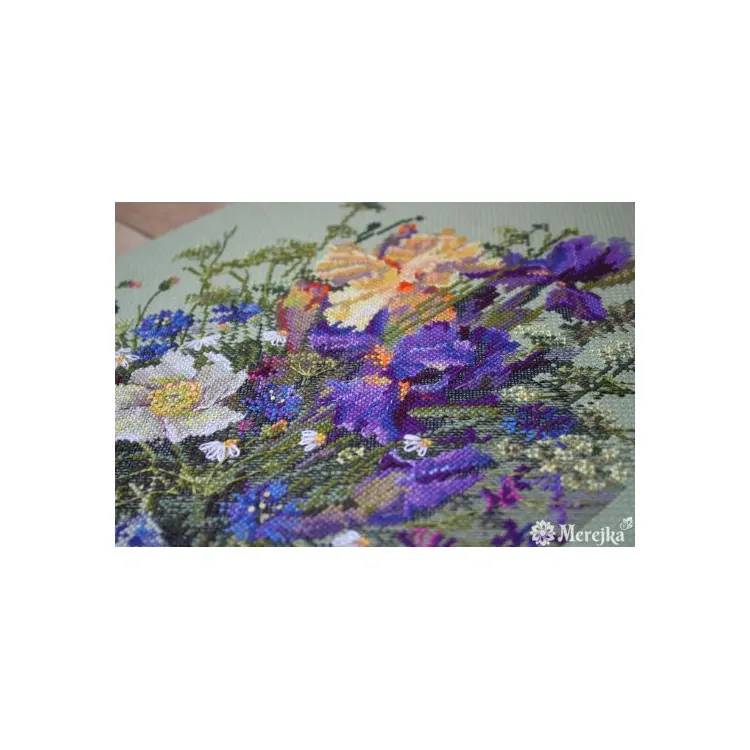 MEREJKA IRISES AND WILDFLOWERS