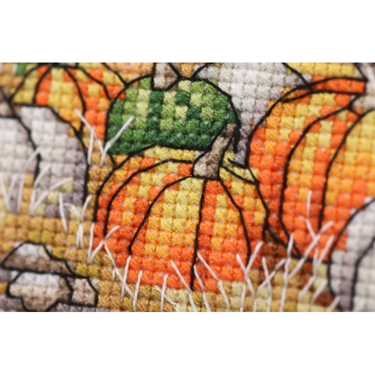 GOLDEN FLEECE Pumpkin Harvest M-031