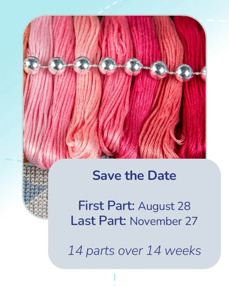 LANARTE Secret Stitch Along 2026/3