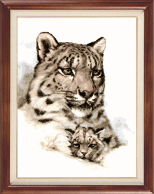 Snow leopards