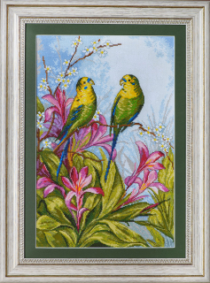 Parrots