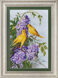 Birds and lilac