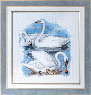 Swans