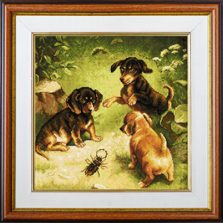 Dachshund puppies at play