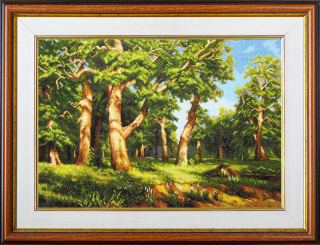 Oak wood