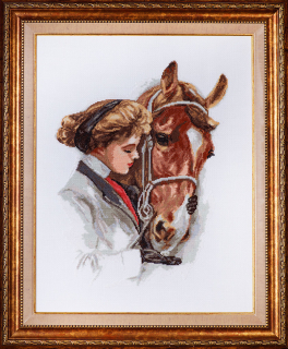 The rider
